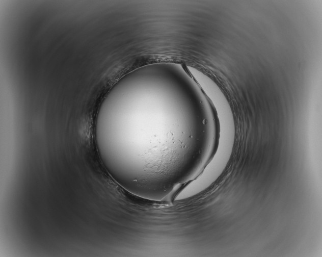 X0000095930665200801251051