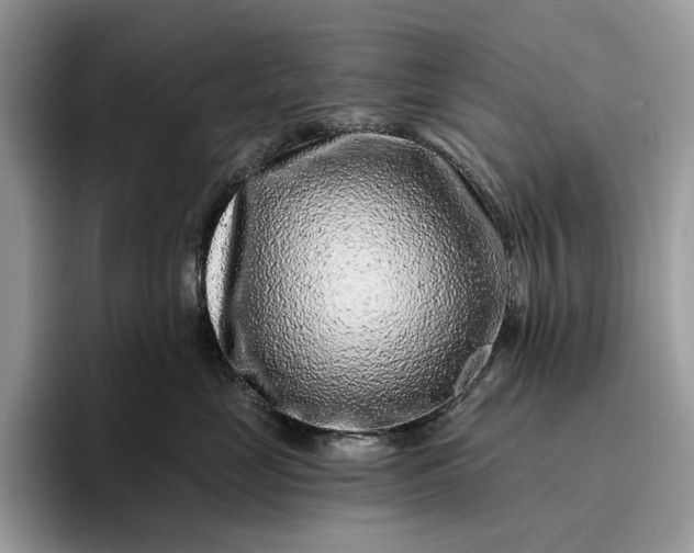 X0000095930669200801251051