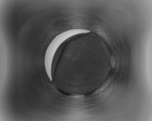 X0000095930670200801251051