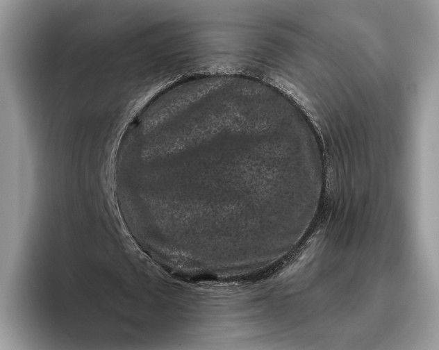 X0000095930673200801251050