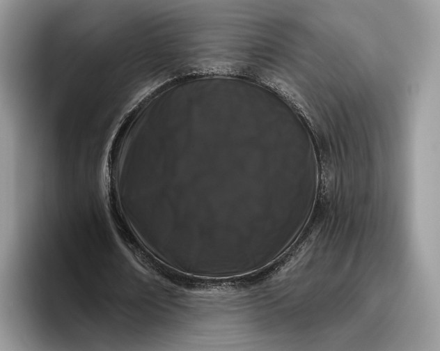 X0000095930674200801251050