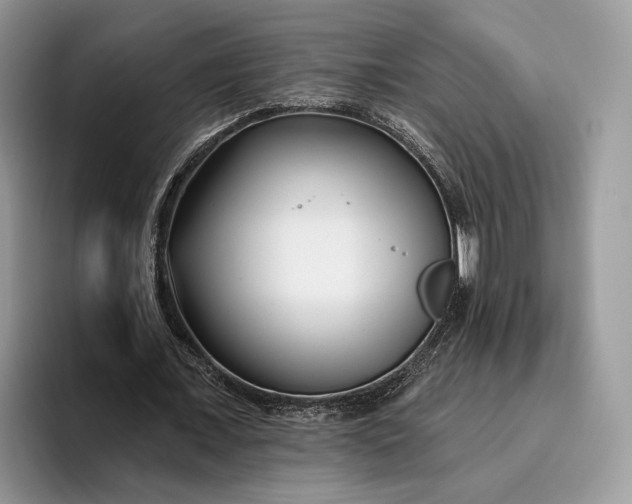 X0000095930675200801251050