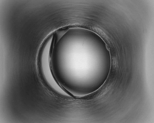 X0000095930676200801251050