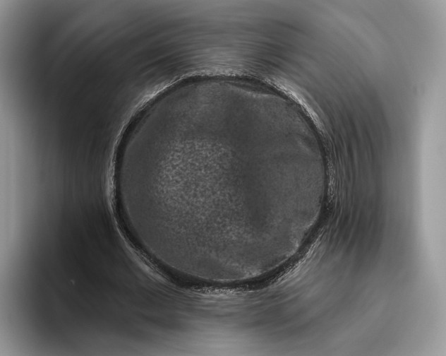 X0000095930677200801251050