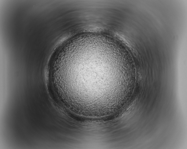 X0000095930679200801251050