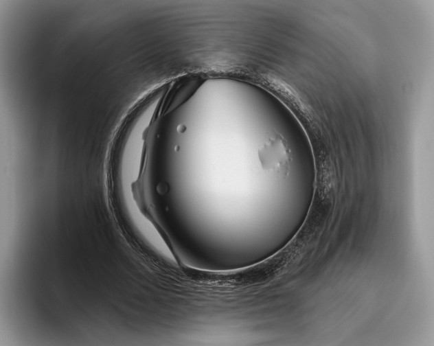 X0000095930680200801251050