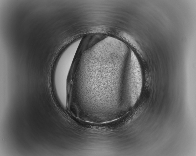 X0000095930681200801251050