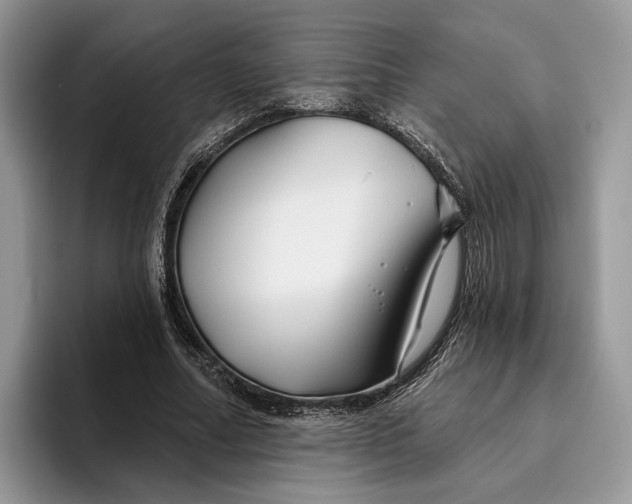 X0000095930682200801251050