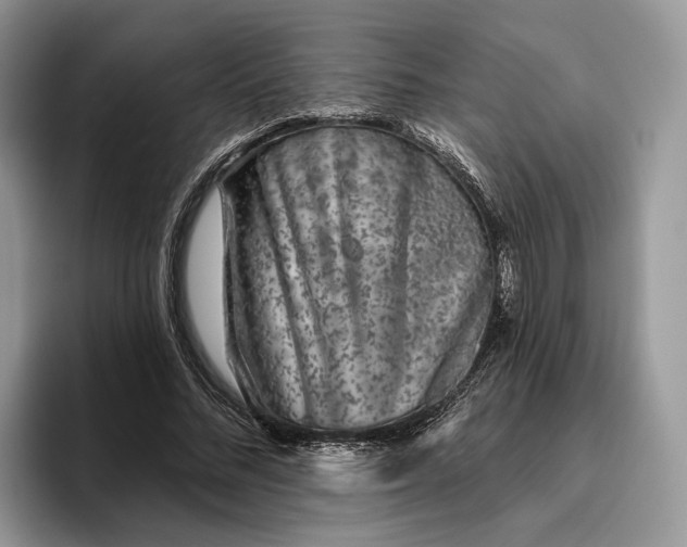 X0000095930684200801251050