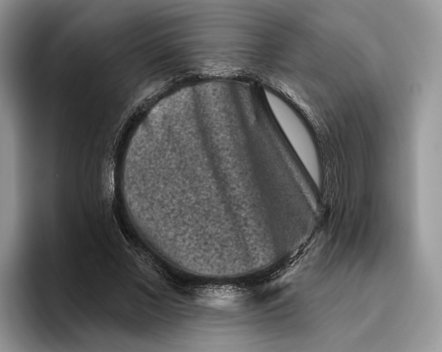 X0000095930685200801251050