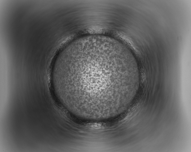X0000095930687200801251050