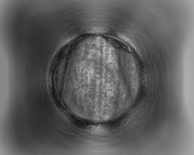 X0000095930688200801251050