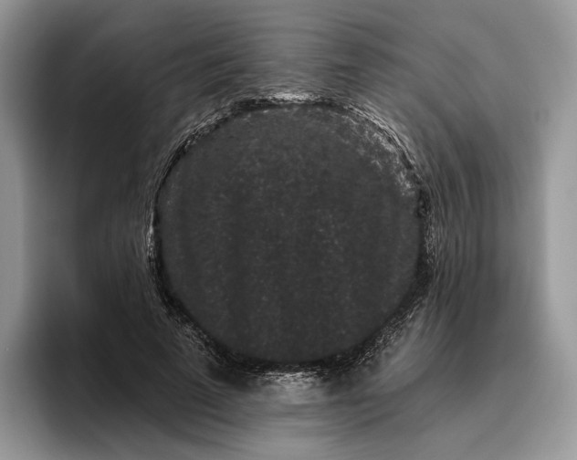 X0000095930689200801251050