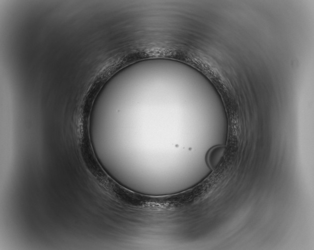 X0000095930690200801251050