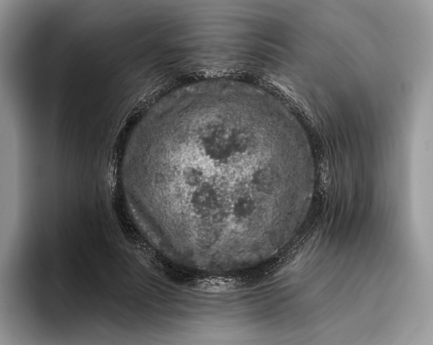 X0000095930691200801251050
