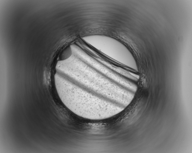 X0000095930693200801251050