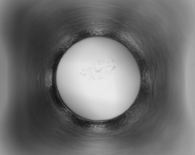 X0000095930694200801251050