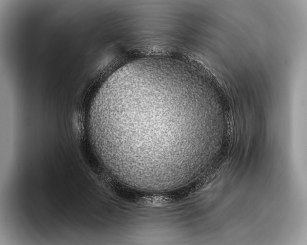 X0000095930695200801251050