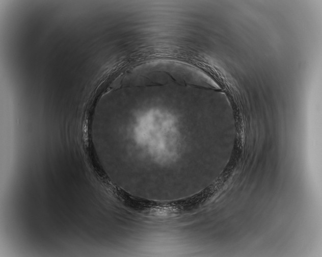 X0000095930696200801251050