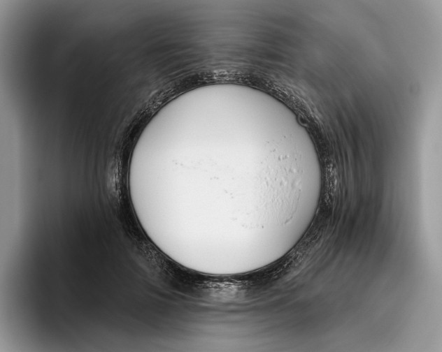 X0000095930698200801251050