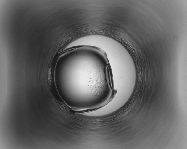 X0000095930700200801251050