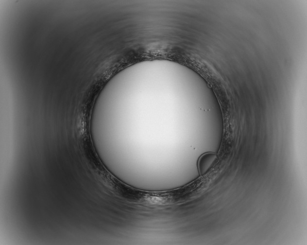 X0000095930706200801251050
