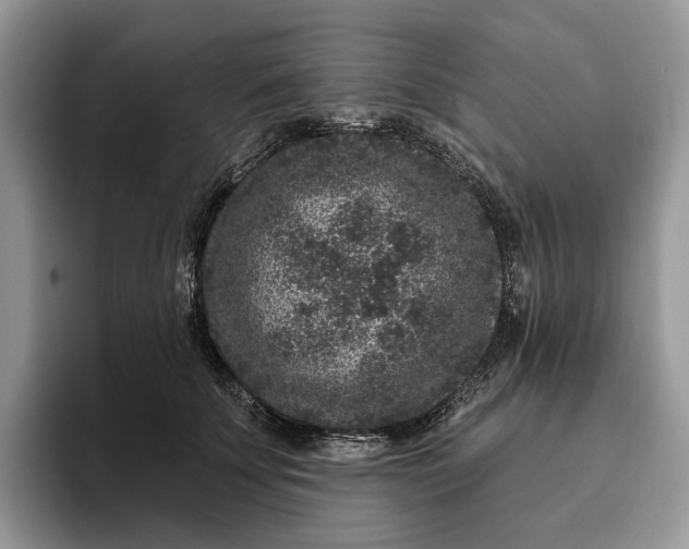 X0000095930707200801251050