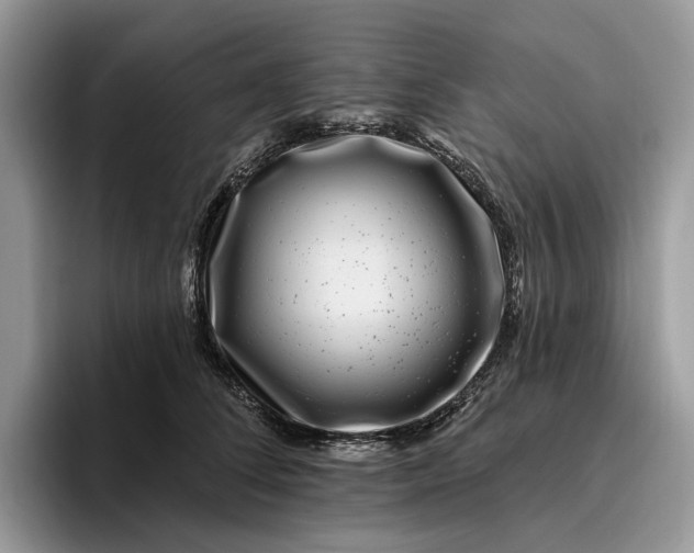 X0000095930708200801251050