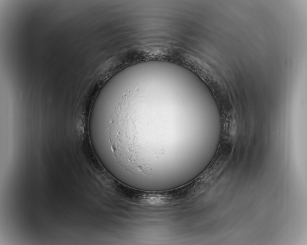 X0000095930710200801251050