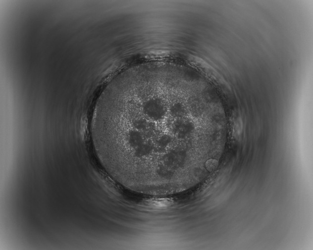 X0000095930711200801251050