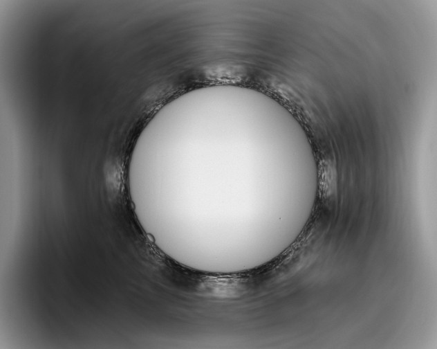 X0000095930713200801251050