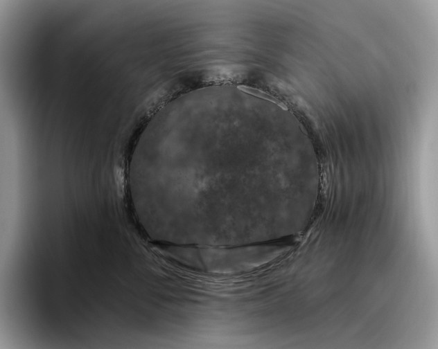 X0000095930716200801251050