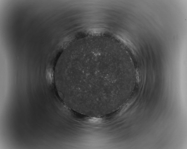 X0000095930718200801251050