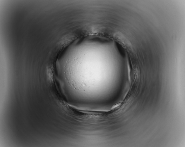 X0000095930719200801251050