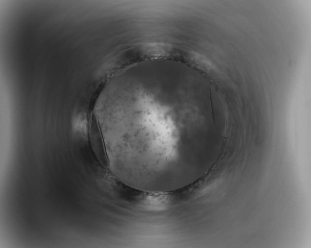 X0000095930720200801251050