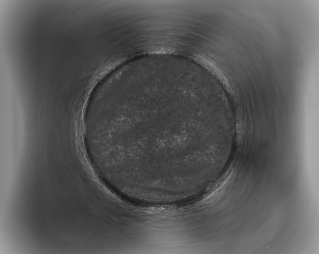 X0000095930721200801251049