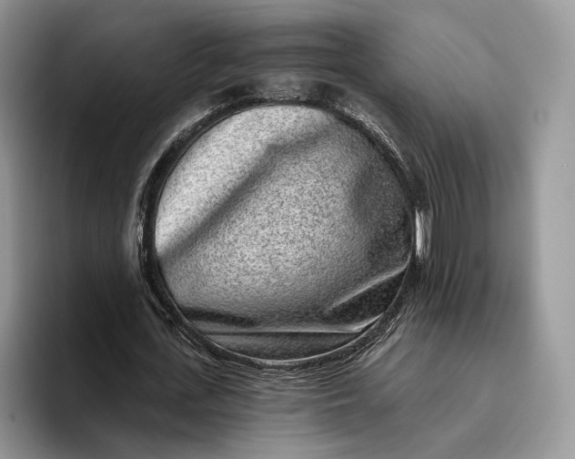 X0000095930723200801251049