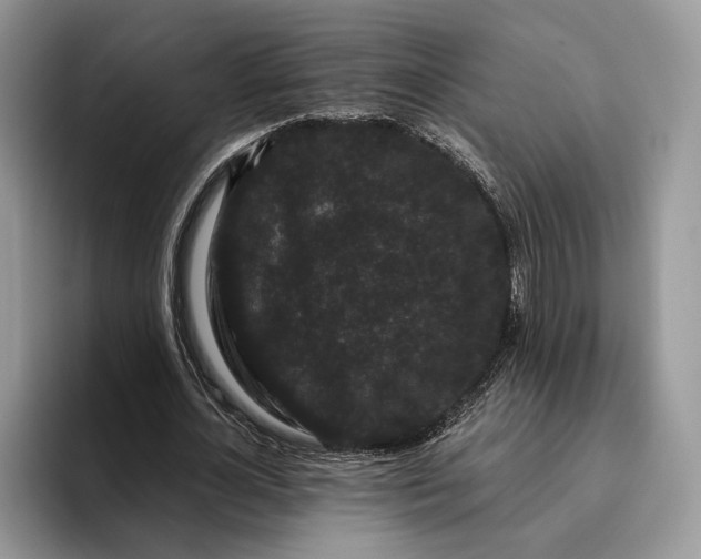 X0000095930724200801251049