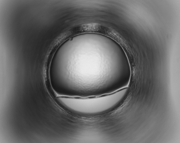 X0000095930725200801251049