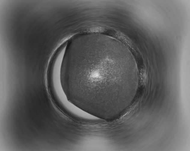 X0000095930726200801251049