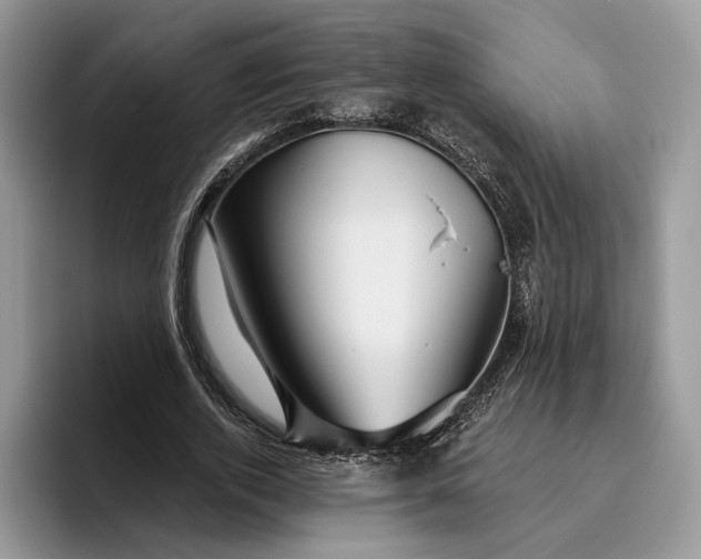 X0000095930728200801251049