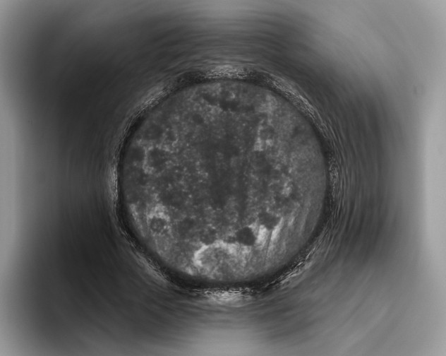 X0000095930729200801251049