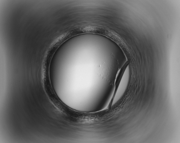 X0000095930732200801251049