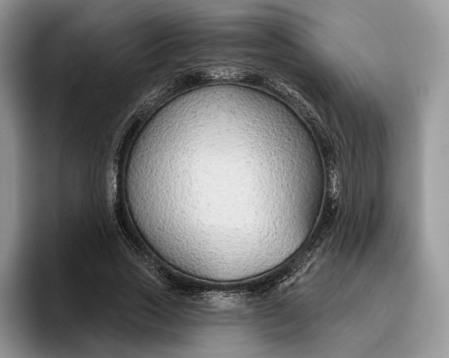 X0000095930733200801251049