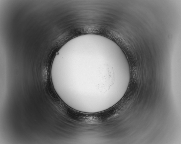 X0000095930741200801251049