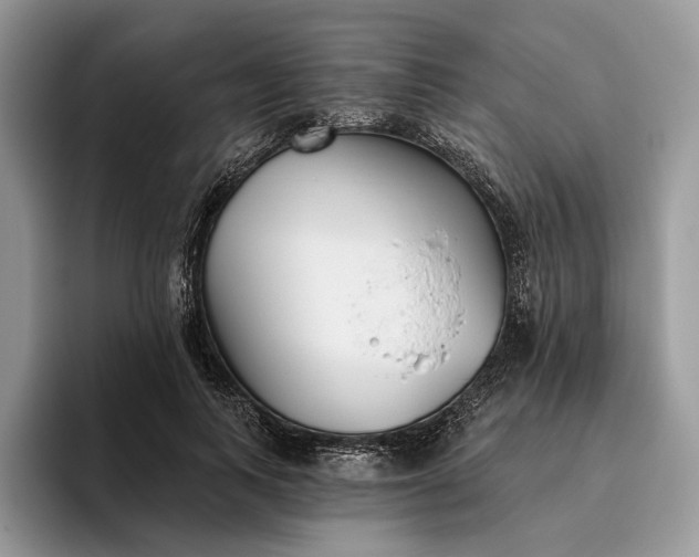 X0000095930743200801251049