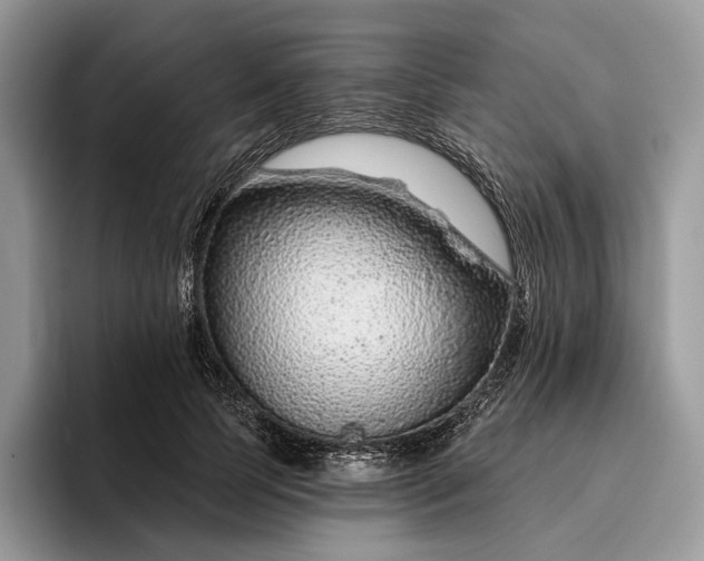 X0000095930745200801251049