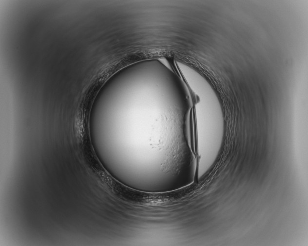 X0000095930746200801251049