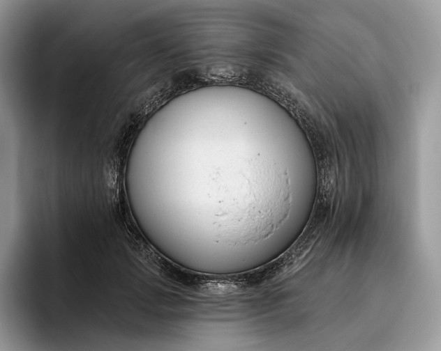 X0000095930749200801251049