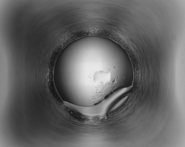 X0000095930750200801251049